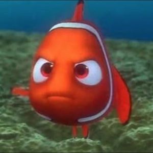 Meet your Posher, Breeanna